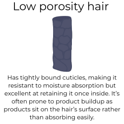 low_porosity